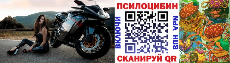Галлюциногенные грибы MAGIC MUSHROOMS магазин продажи Рыльск